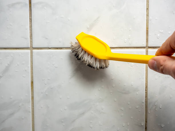  Sylvester, GA Mold Removal Pros