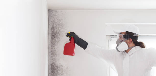 Best Bathroom Mold Remediation in Sylvester, GA